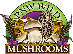 Pacific Northwest Wild Mushrooms Logo